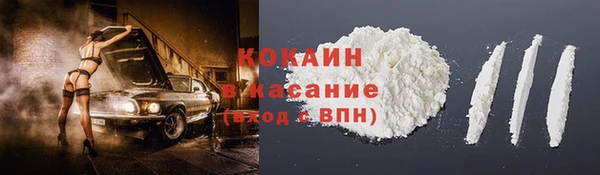 стафф Алексин