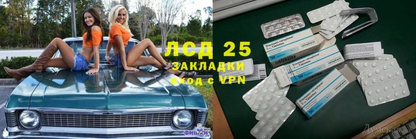 мяу мяу мука Алексеевка