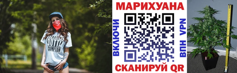 где купить наркотик  Тюкалинск  мега зеркало  Конопля индика 